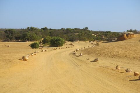 Driving Track