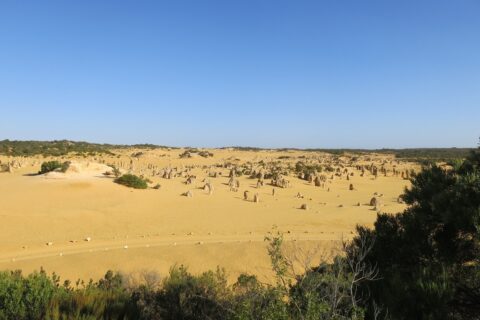 Looking across the Pinnacles and Track