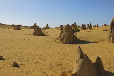 More Pinnacles