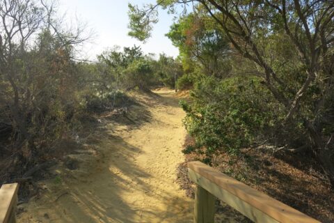 Walking Trail