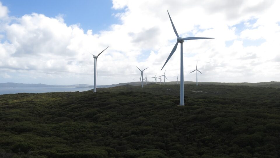 Albany Wind Farm