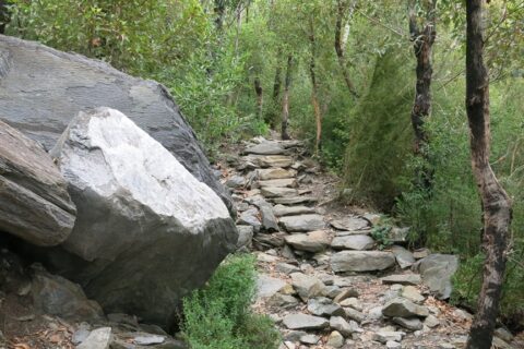 Path of Rocks