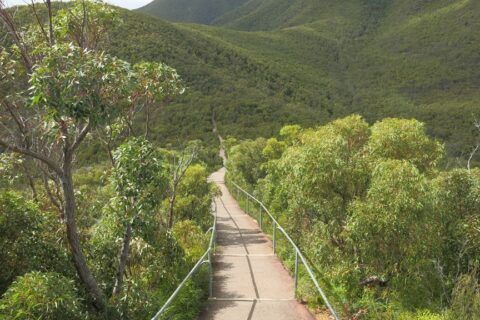 Start of Bluff Knoll Trail