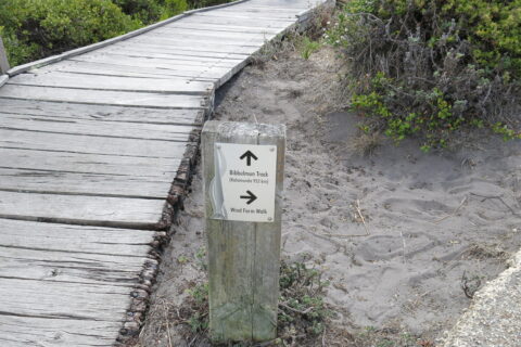 To Kalamunda on the Bibbilmun track