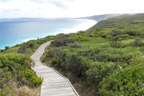 Track along the ocean